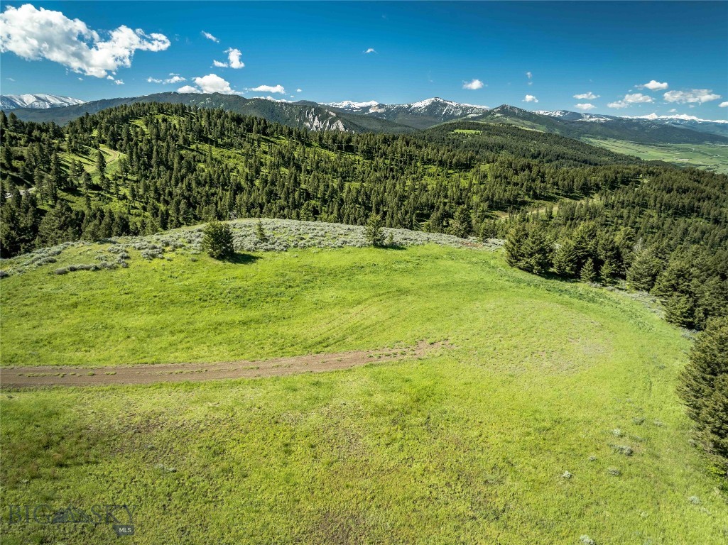 North Pass Ranches - Farm