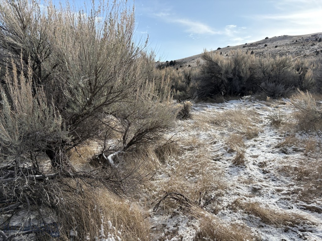 Shining Mountain Unit I - Land