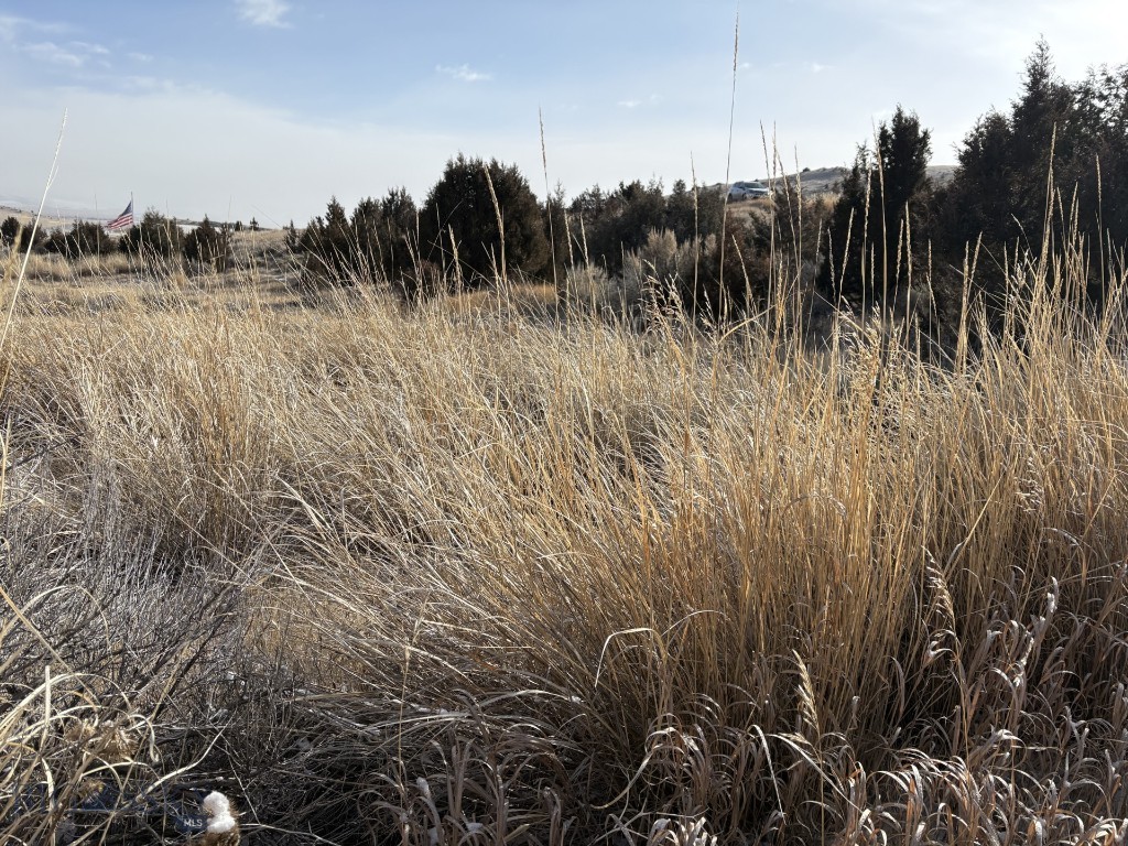 Shining Mountain Unit I - Land