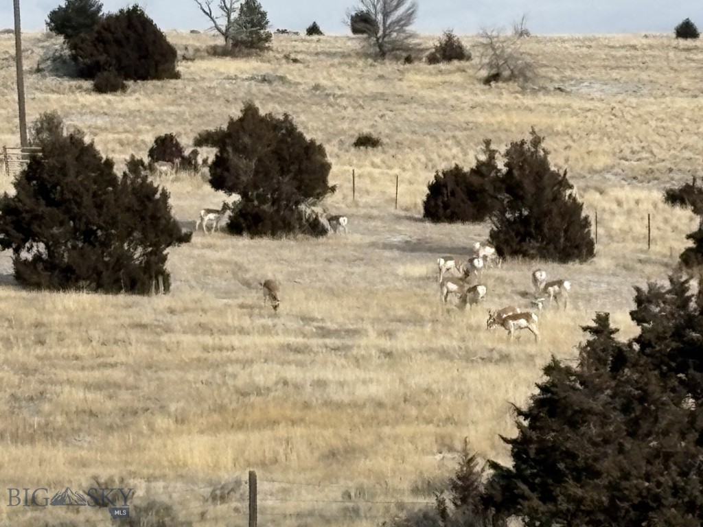 Shining Mountain Unit I - Land