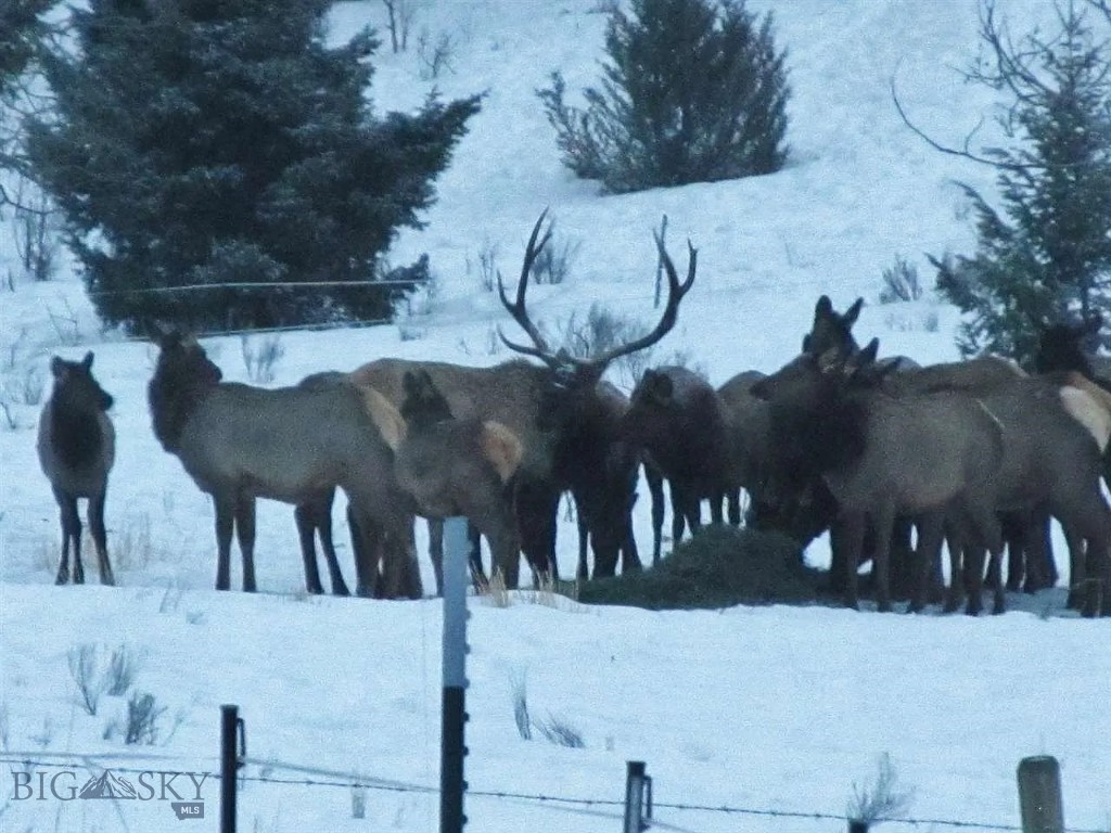 900 Flint Creek Road