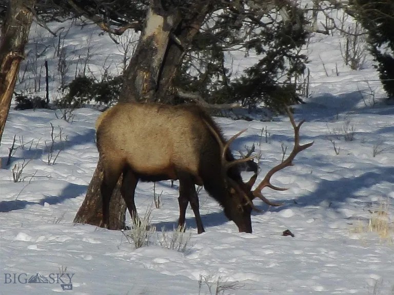 900 Flint Creek Road