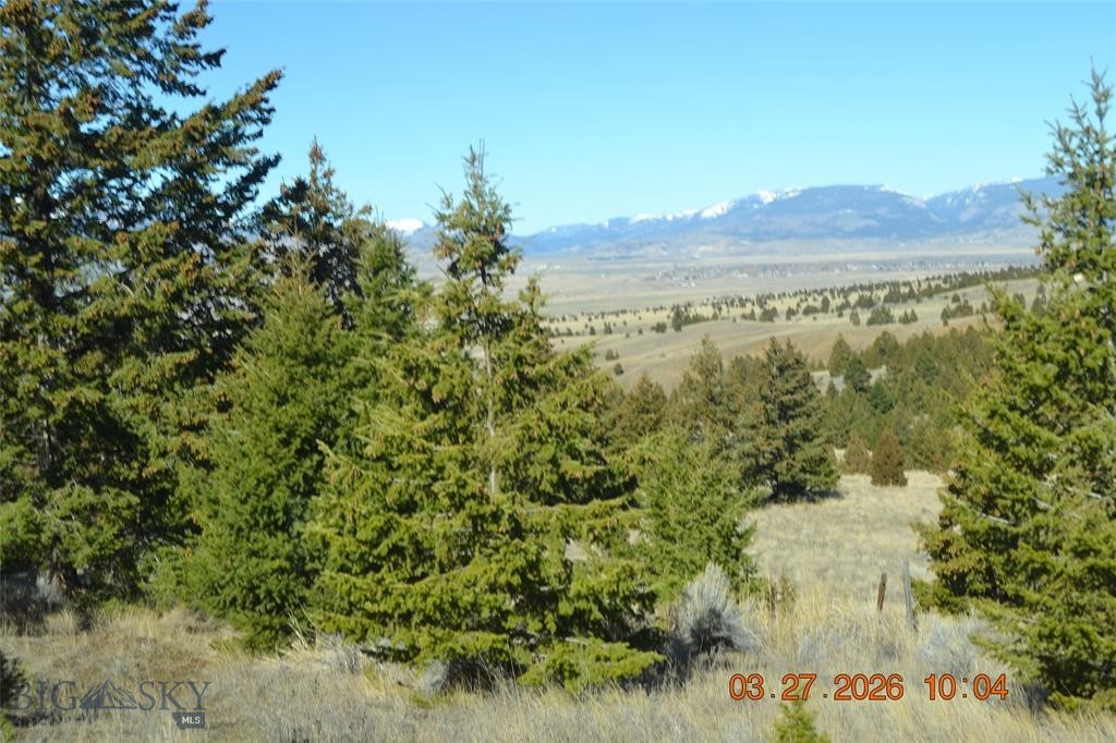 Flint Creek Estates - Land