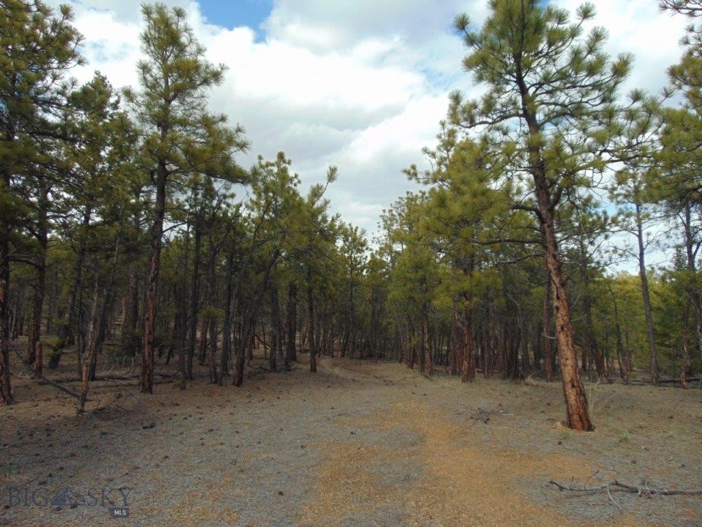 3575 Sweetwater Rd Road