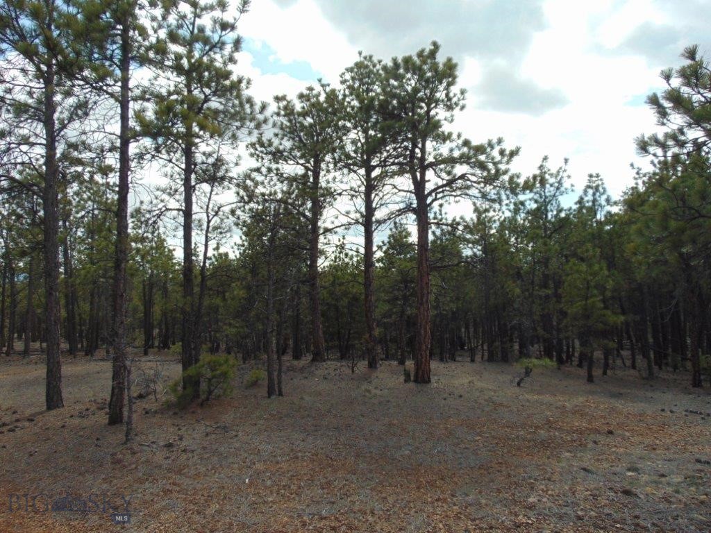 3575 Sweetwater Rd Road