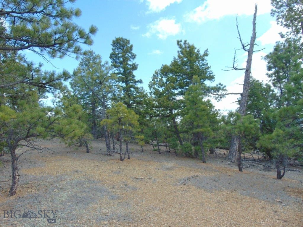 3575 Sweetwater Rd Road