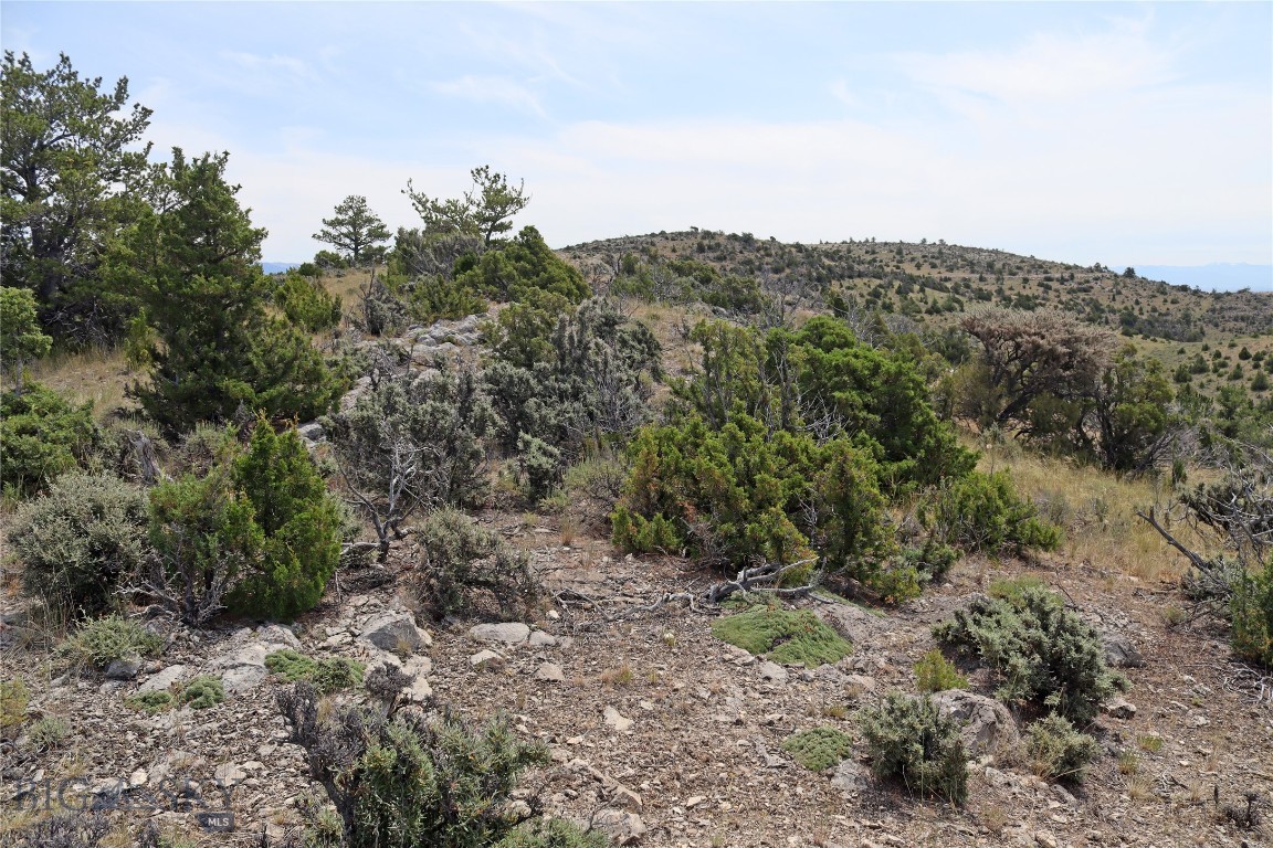 Gallatin River Ranch - Land