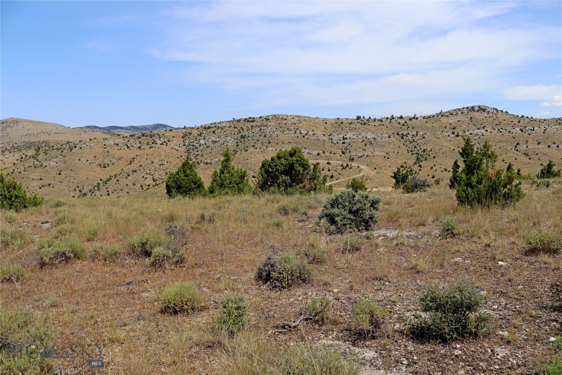 Gallatin River Ranch - Land