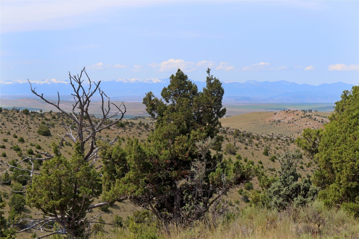 Gallatin River Ranch - Land