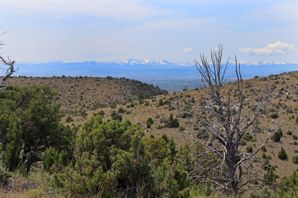 Gallatin River Ranch - Land