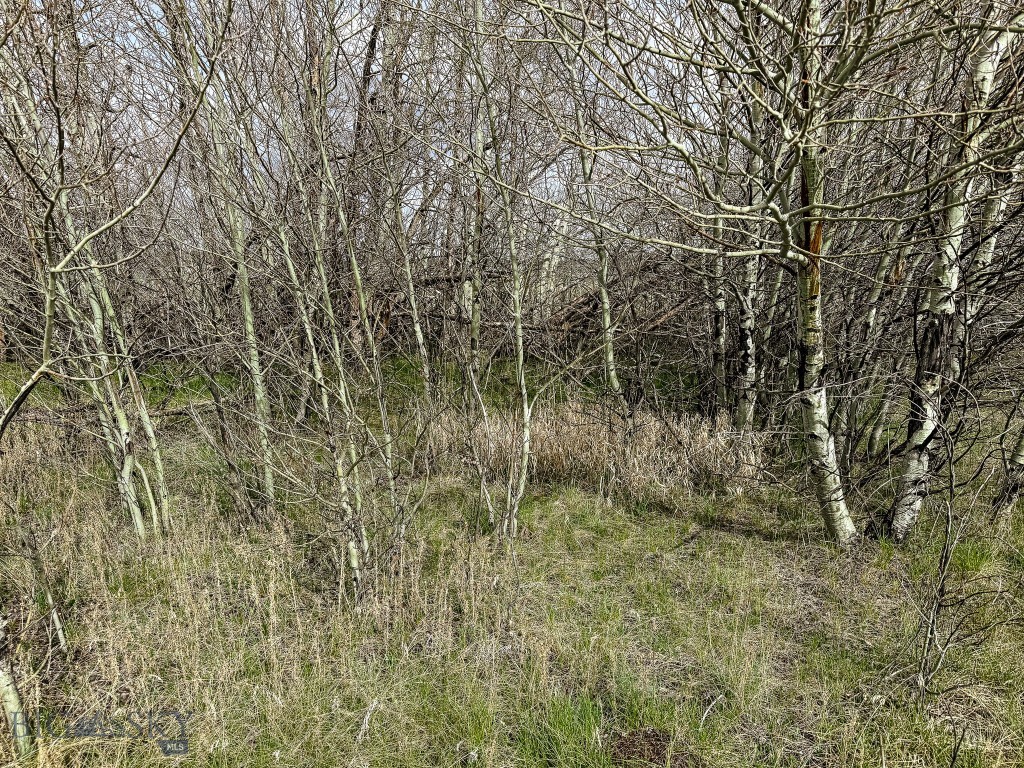None - Land