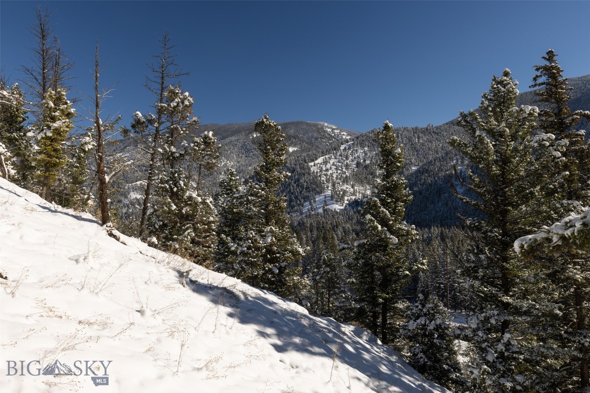 Gallatin Canyon - Land