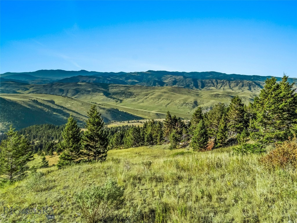 Yellowstone Basin Properties - Land