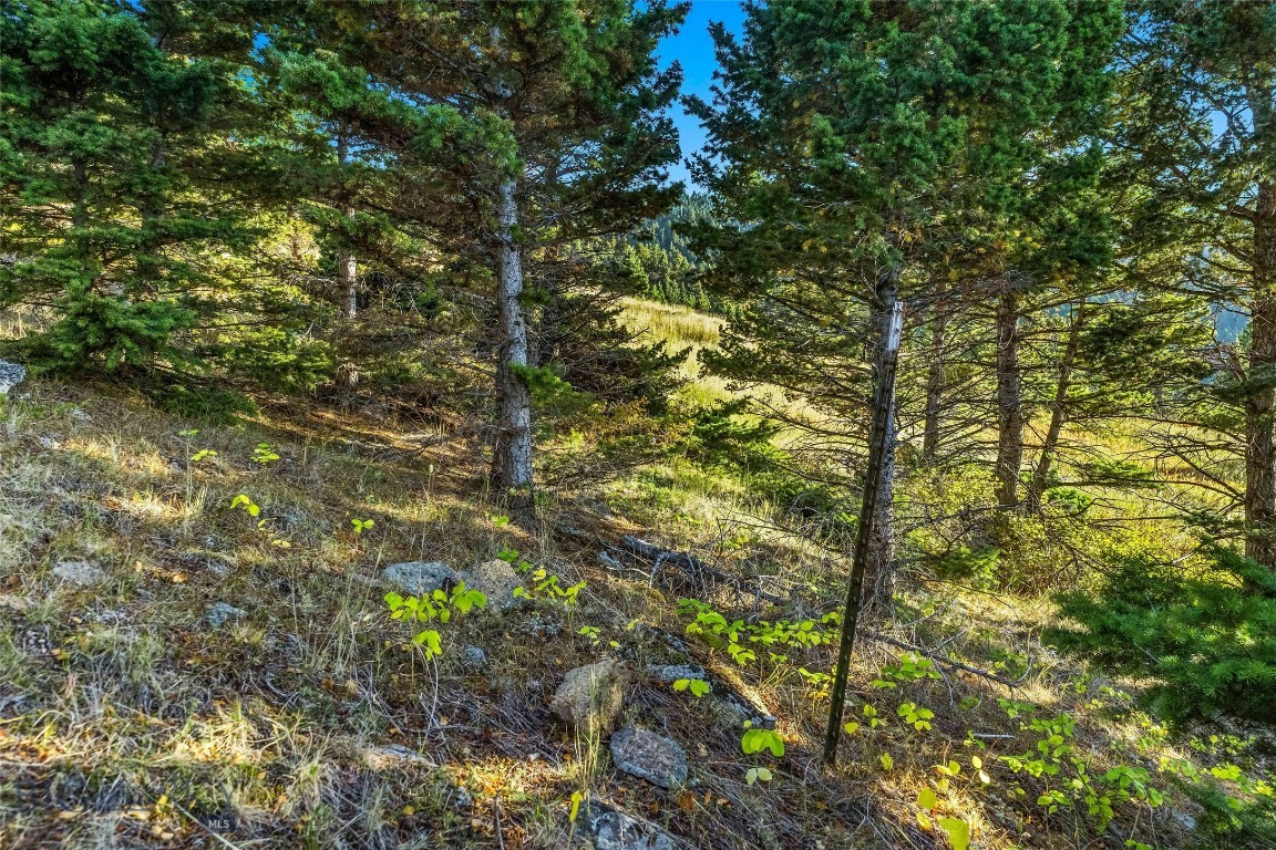 Yellowstone Basin Properties - Land