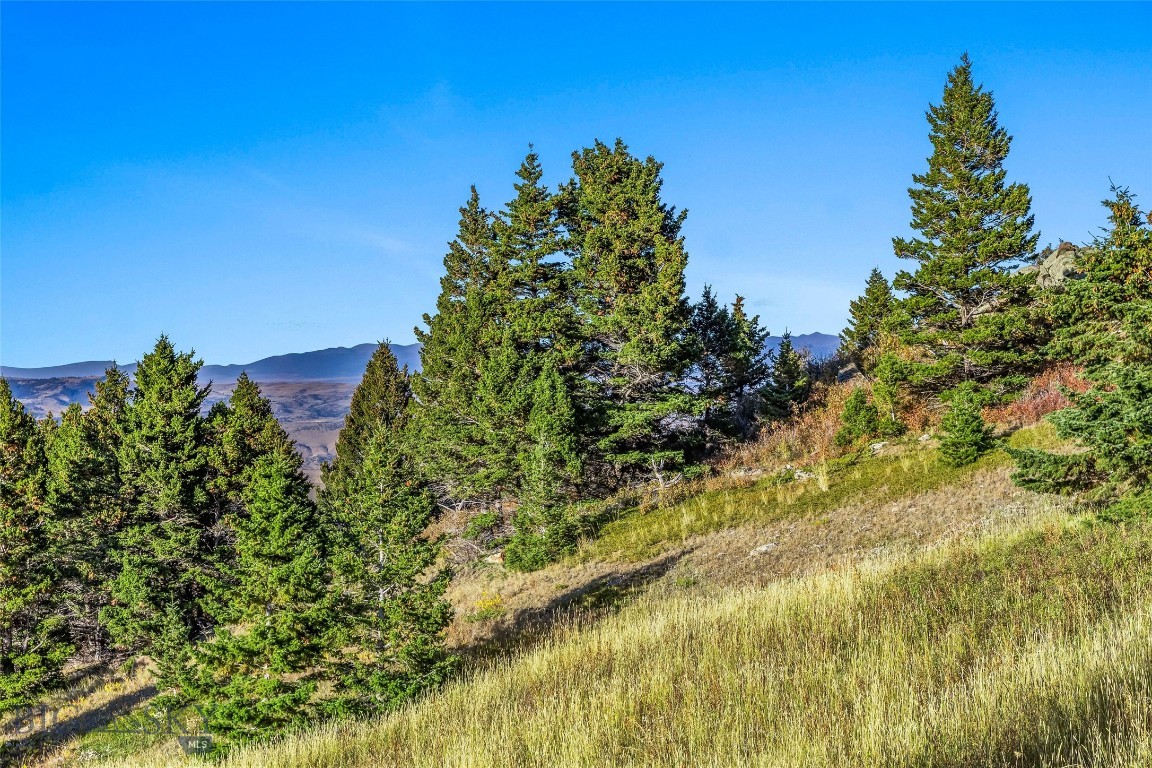 Yellowstone Basin Properties - Land