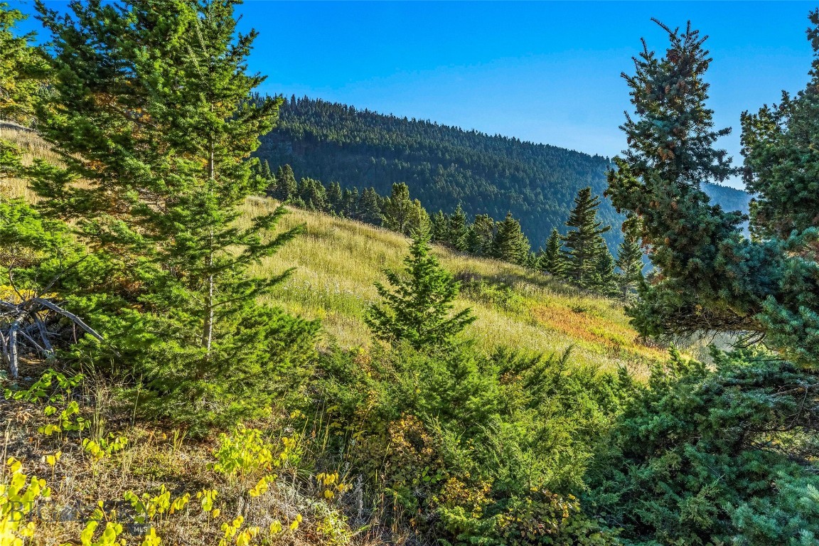 Yellowstone Basin Properties - Land