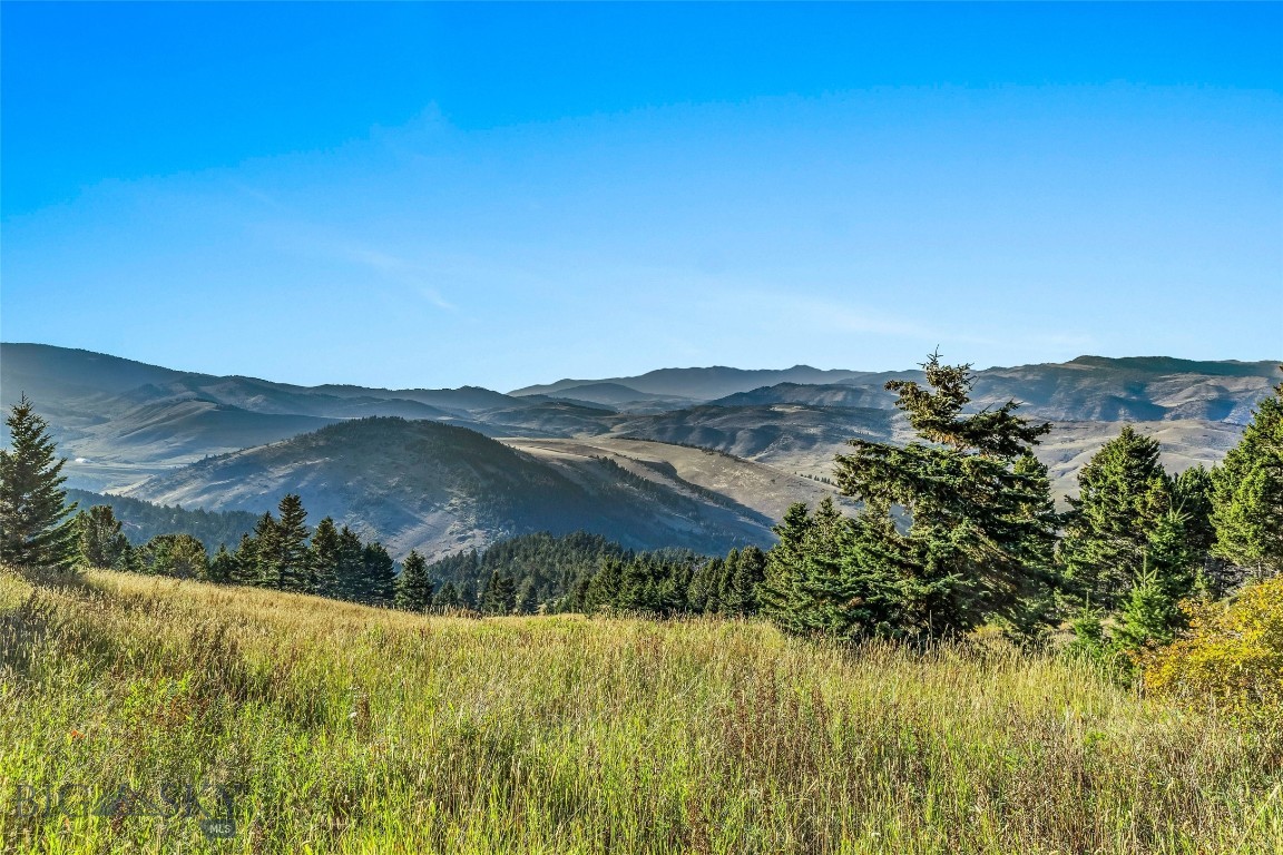 Yellowstone Basin Properties - Land
