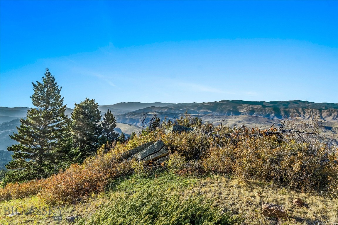 Yellowstone Basin Properties - Land