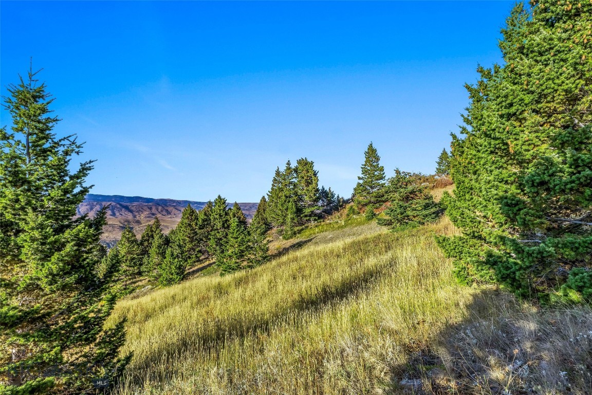 Yellowstone Basin Properties - Land