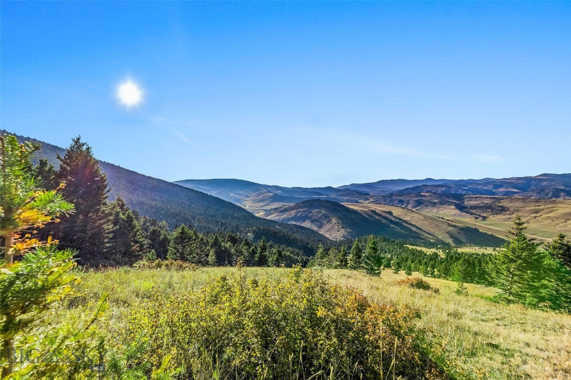 Yellowstone Basin Properties - Land