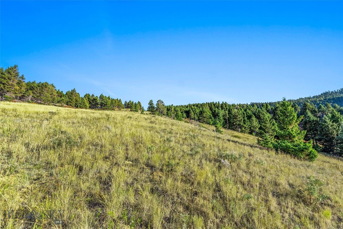 Yellowstone Basin Properties - Land