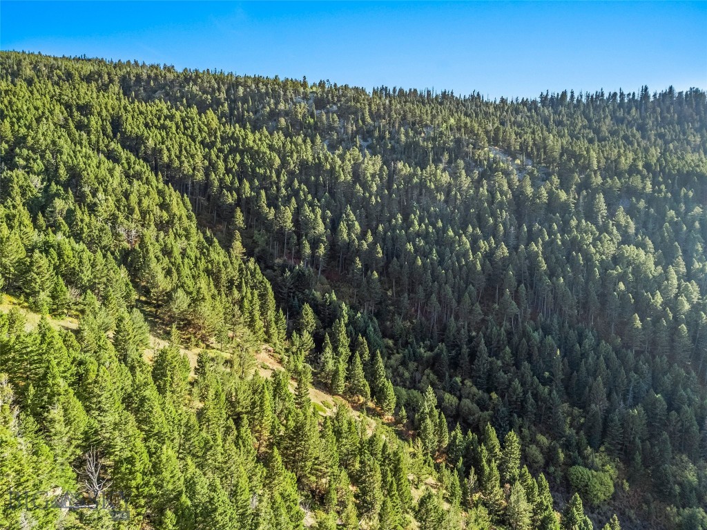 Yellowstone Basin Properties - Land