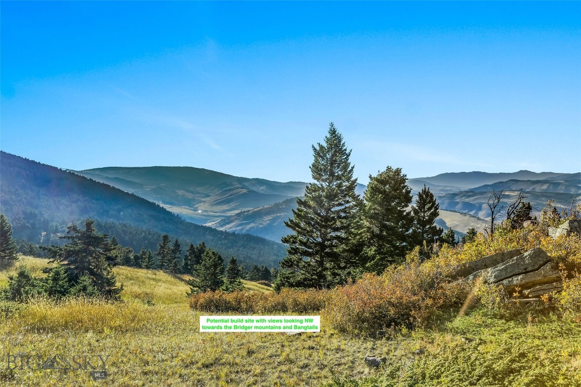 Yellowstone Basin Properties - Land