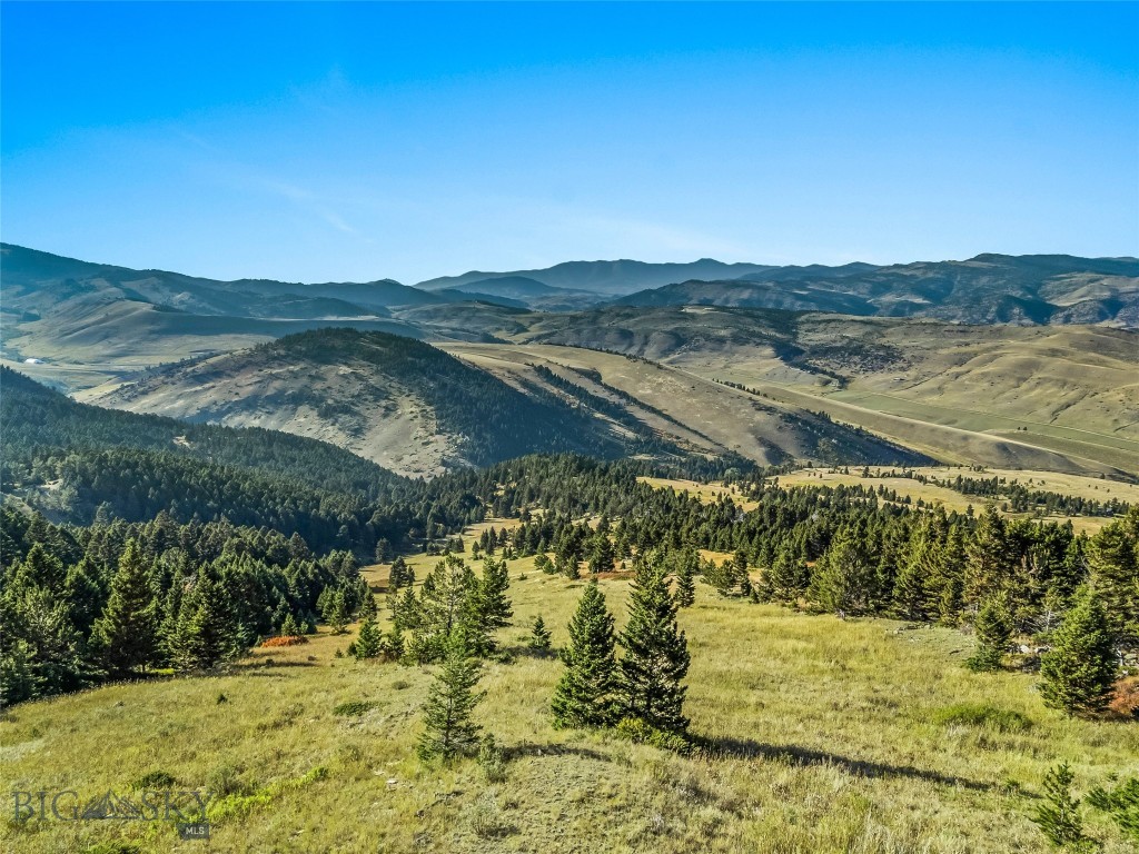 Yellowstone Basin Properties - Land