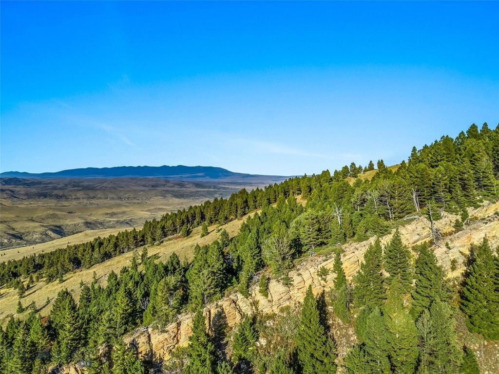 Yellowstone Basin Properties - Land