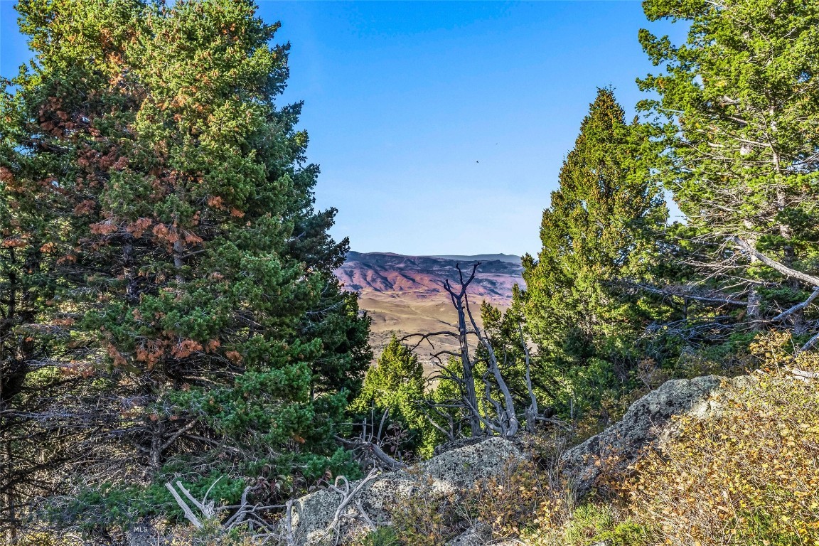 Yellowstone Basin Properties - Land