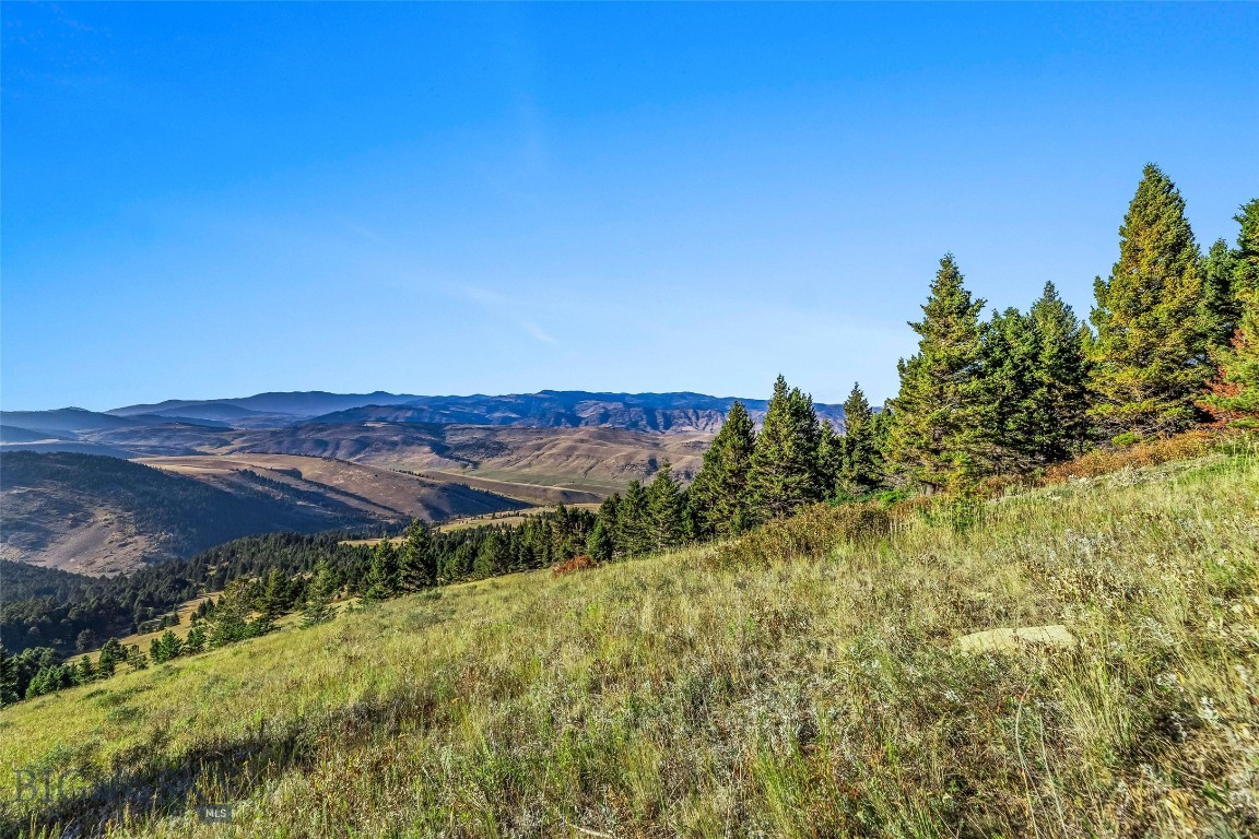 Yellowstone Basin Properties - Land