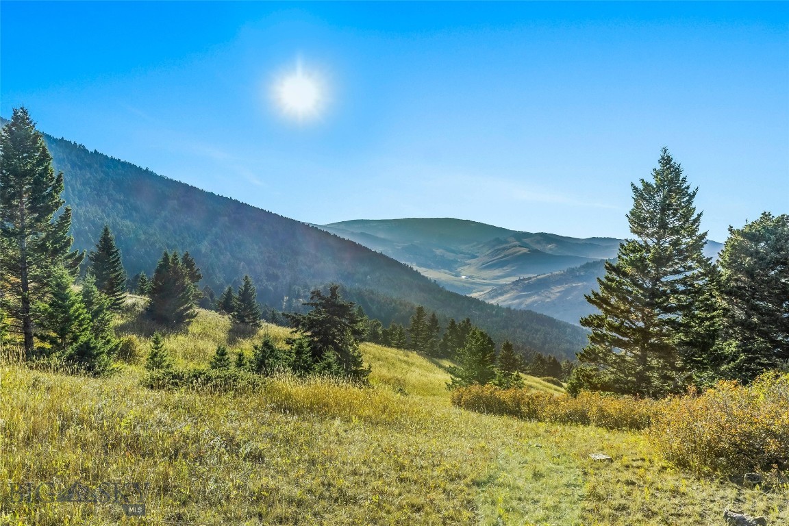 Yellowstone Basin Properties - Land