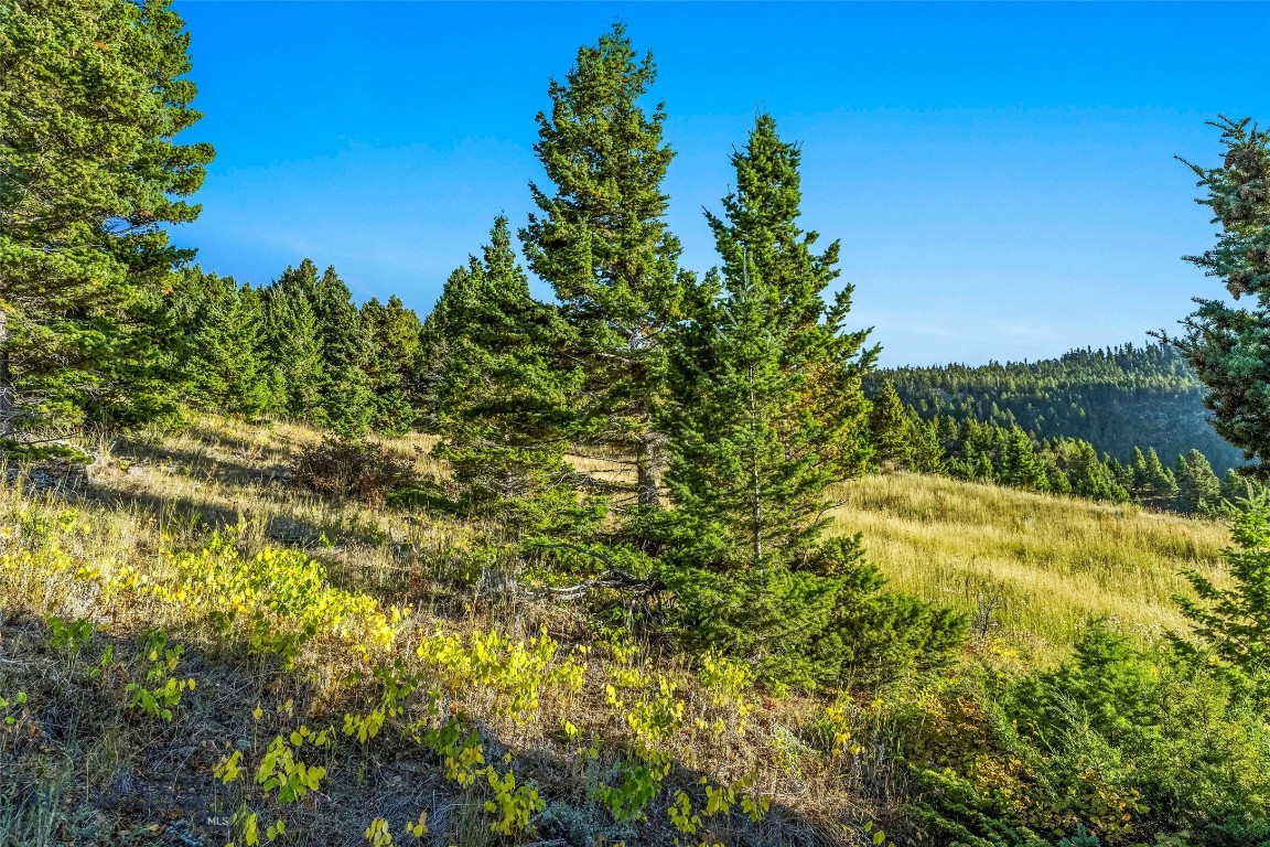 Yellowstone Basin Properties - Land