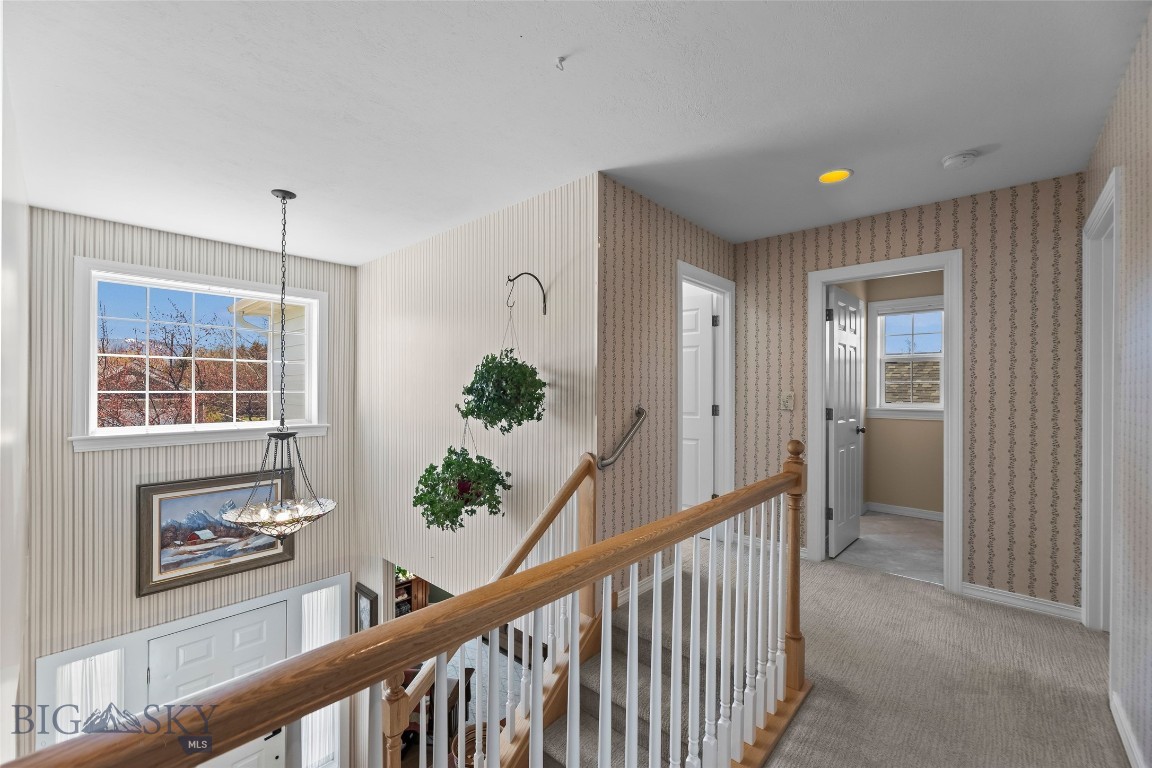 Westfield - Residential