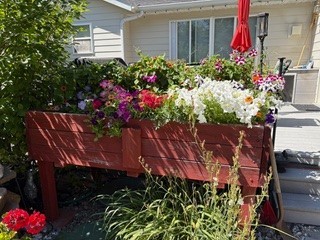 Wylie Creek Estates - Residential