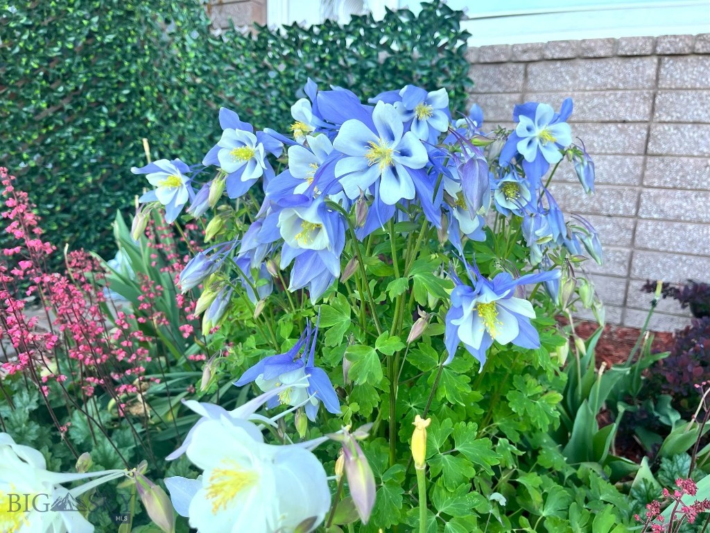 Baxter Creek - Residential