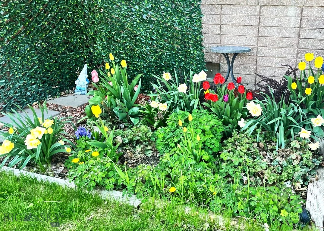 Baxter Creek - Residential