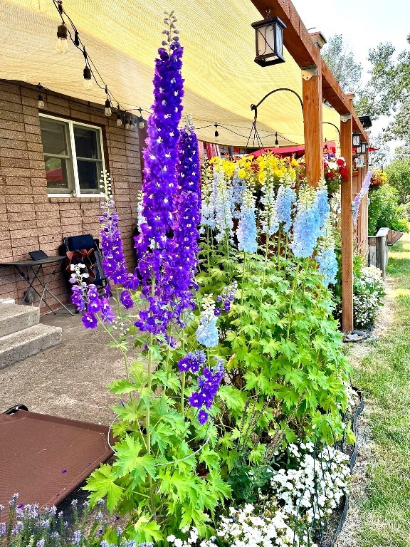 Baxter Creek - Residential