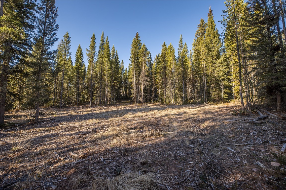 Elk Ridge Ranchettes - Land