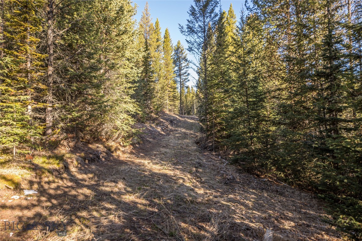 Elk Ridge Ranchettes - Land