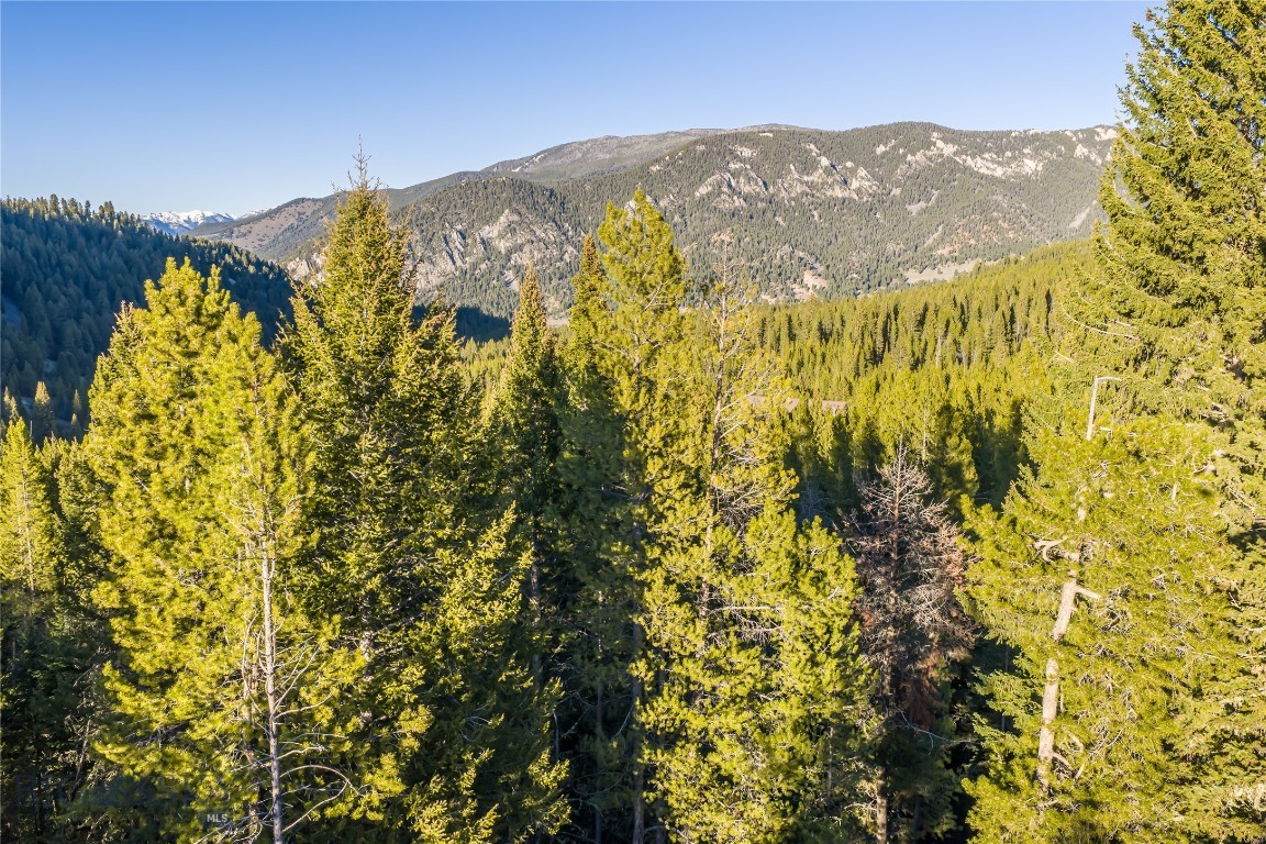 Elk Ridge Ranchettes - Land