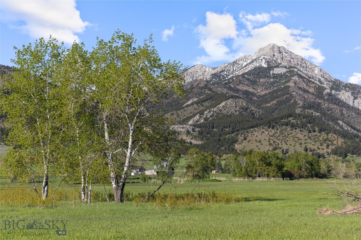Other - Land
