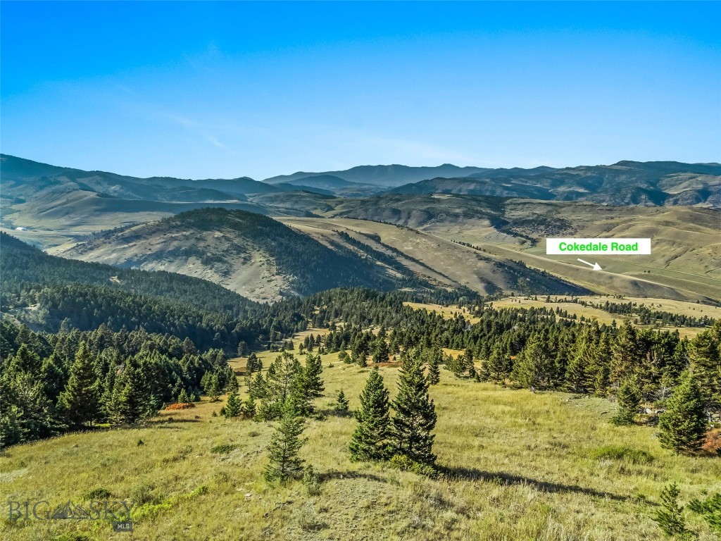 Yellowstone Basin Properties - Land