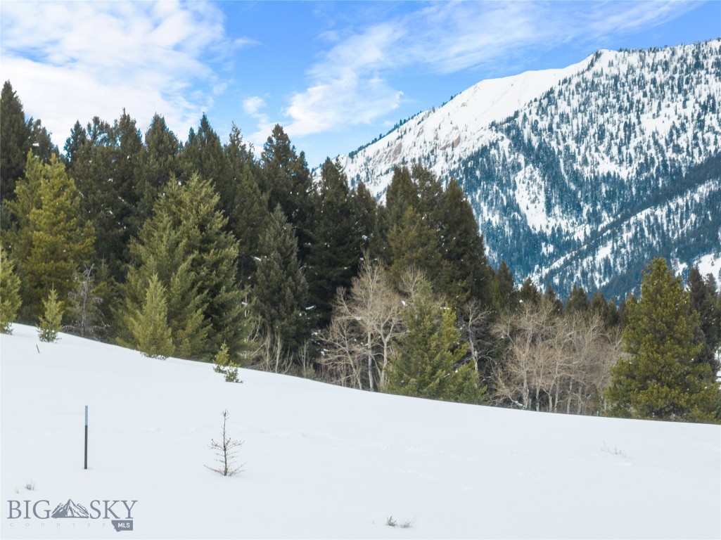 South Fork - Land