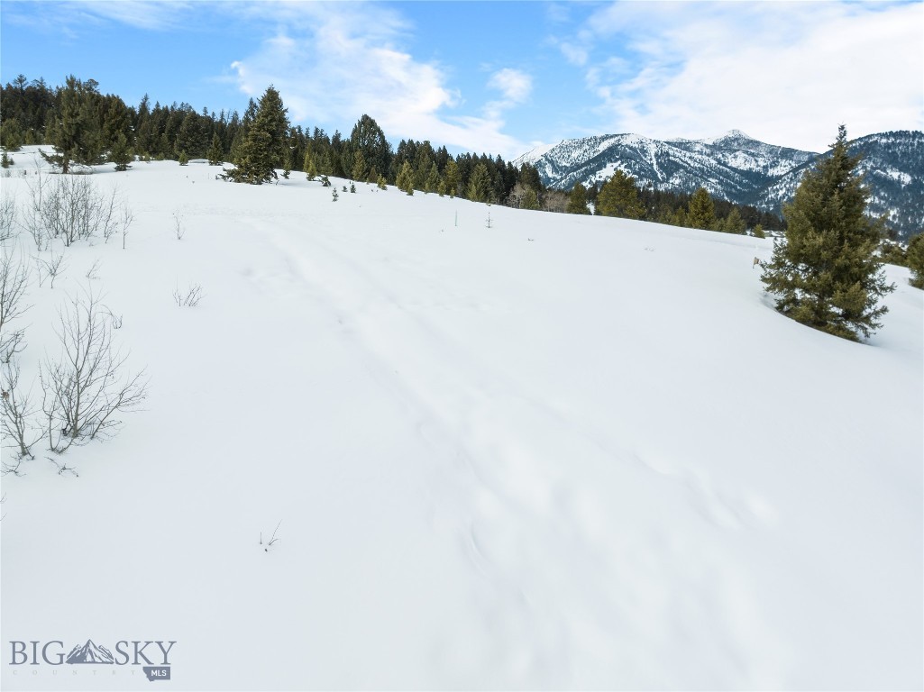 South Fork - Land
