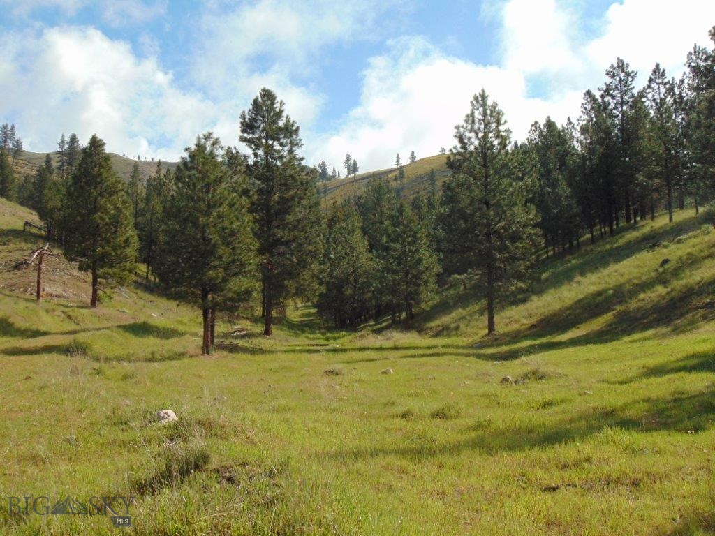 477 Acres of Montana property for sale, offering private access to thousands of acres of public land. And, you’re only approximately 25 miles from Missoula; this is a fabulous location. That’s right, this property gives you private access to thousands of acres of public property; it’s the property you’ve been dreaming of! The property also has a large shop on it that has space for you to stay during hunting season or while you’re building your dream home. If it’s a dream home you’re planning on building, there’s already a county-approved septic system installed, and the Well is drilled. The property comes with water rights to developed springs that have stock tanks in place, which attract and hold wildlife on the property. There’s even a beautiful Apple orchard that the Deer, Elk, and Black bears like to visit regularly! You're only approximately 6 miles from the small community of Clinton, Montana, which has a great grocery store and fuel station. If you’re a fisherman, the property is just a mile from the Clark Fork River, offering views of it directly from the property, and Rock Creek, which is renowned worldwide as one of the top Blue-Ribbon fisheries in the West, is only a couple of miles away. If you enjoy hiking, you can spend days walking around this property and the adjacent public lands. However, keep in mind that the Welcome Creek Wilderness is just to the south, a few short miles away, offering some real wild Montana backcountry adventures. This property is the unicorn that does exist. Every time I have been here, I have seen elk on the property. I don’t mean that you might see a deer once in a while; I mean every time I see elk and deer on this property, no joke - I am not exaggerating! In all my years of brokering properties in Montana, I have never seen a property that holds Big Game like this one does. I'm happy to take you and show you for yourself! Oh, did I mention there's a locked gate, so it’s very private. Hunt, hike, or horseback ride to your heart's content.  Seriously, where are you ever going to find a property like that? This is a one-of-a-kind. It’s a dream property that is a once-in-a-lifetime opportunity to purchase.