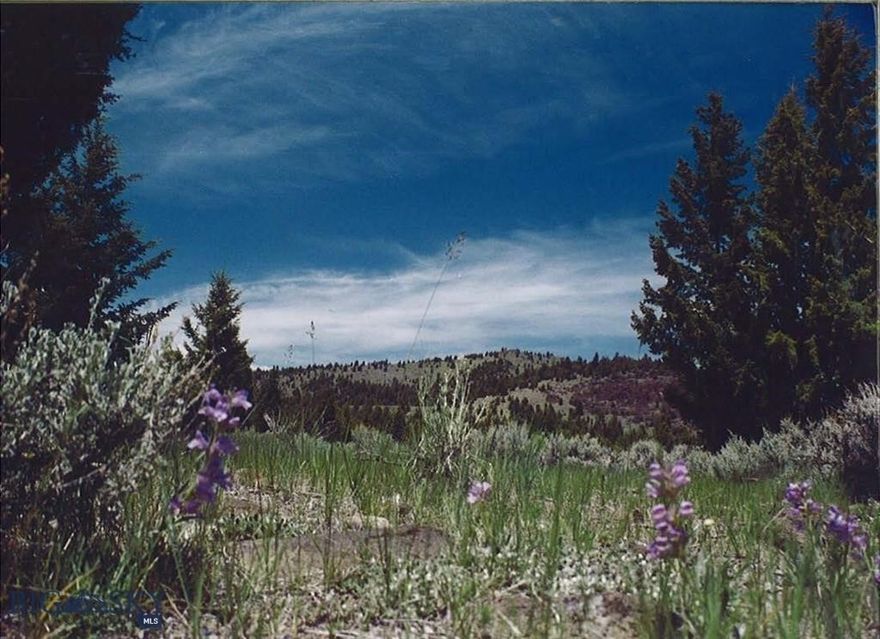 Tucked into the Rocky Mountains of southwest Montana, Flint Creek Ranch spans over 900 acres of pristine wilderness, offering unmatched privacy, panoramic views, and abundant wildlife. Situated at an elevation of approximately 6,000 feet, the landscape rolls out beneath towering mountain peaks that rise above 8,000 feet in the nearby national forests.

This recreational paradise features a diverse blend of terrain—from open, grassy meadows scattered with juniper to timbered ridges blanketed in mature Douglas Fir and Cedar. Rugged canyons, dramatic draws, and striking red lava rock outcroppings lend natural beauty and character, while native grasses, wildflowers, and mountain brush paint the landscape in seasonal color.

Flint Creek Ranch is a hunter’s dream. The property teems with wildlife, including elk, deer, bear and mountain lion. 

Comprised of 3 adjoining parcels—including 140+ acres with no covenants, a 27.47-acre lot in the Flint Creek subdivision, and 740 acres under conservation easement-this property provides flexibility to suit your vision. 
Whether you seek end-of-the-road seclusion or a build site in the neighboring subdivision just 10 minutes from I-90 and local schools, the opportunities are vast. 

Recreation abounds nearby: enjoy skiing at Discovery Ski Basin (35 miles away), summer boating and fishing at Georgetown Lake, and championship golf at the Jack Nicklaus–designed Old Works Golf Course in Anaconda.  Outdoor adventures—from hiking and horseback riding to hunting—are limitless.

Create a legacy property in the heart of Big Sky Country. Seller financing or a possible real estate exchange may be considered for the right buyer. Seize this rare opportunity to own an exceptional piece of Montana. Some pictures are of area and not taken from property.
Call your favorite Realtor for a tour today!