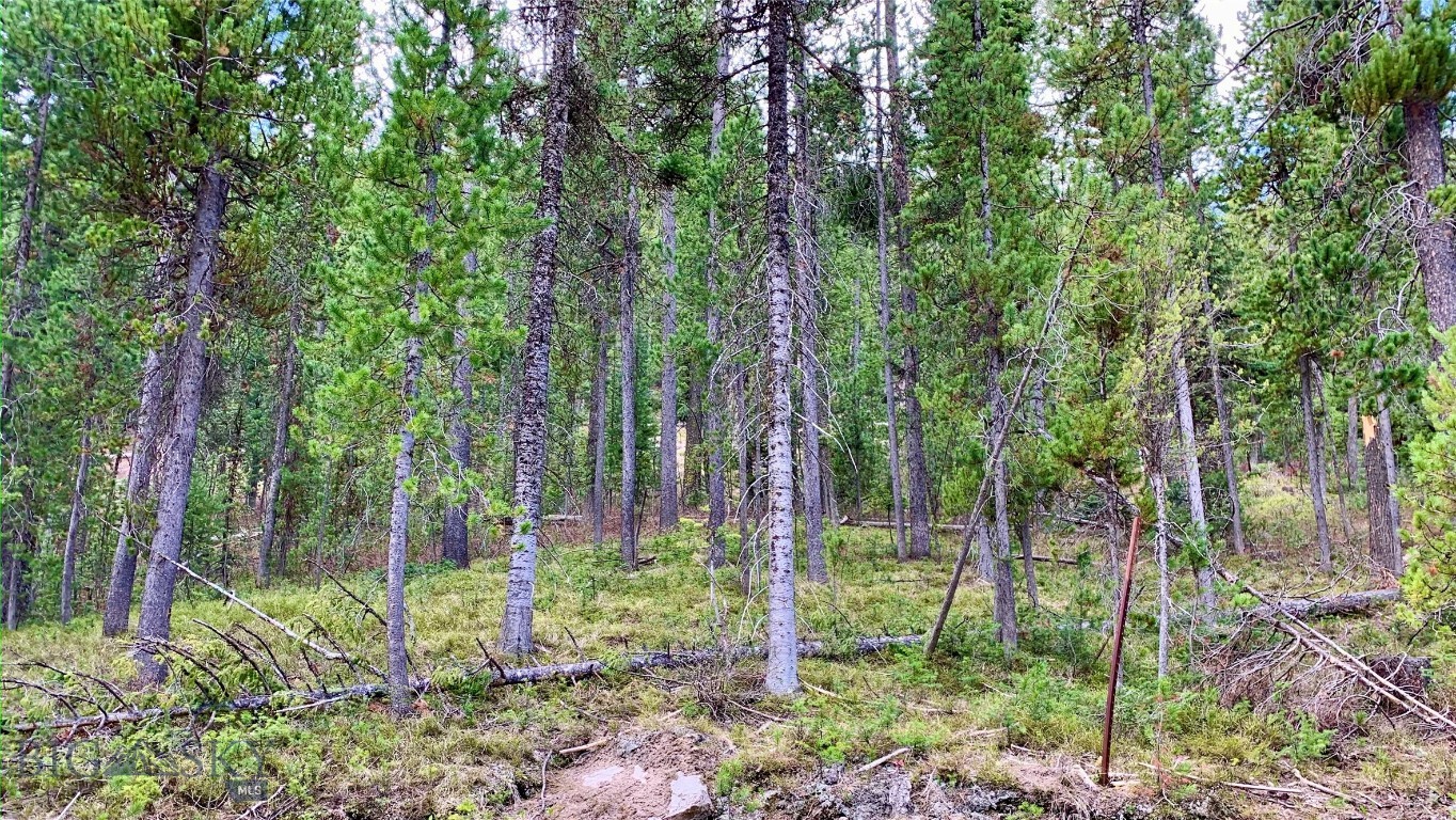 4256 Mountain View Drive