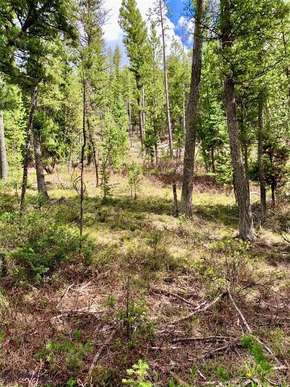 4256 Mountain View Drive