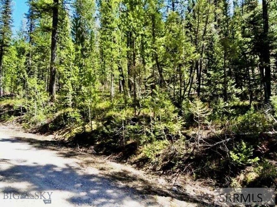This Beautiful Wooded 4.55 Acre Lot is the Largest Parcel in the Desirable Big Horn Hills Estates Subdivision!  AND SHORT-TERM VACATION RENTALS  are Allowed! This Subdivision also has a Community Well and All Year Access. Tall Pine Trees grace this Attractive Lot which is adjacent to US Forest Service Land too! Renowned Henry's Lake is only minutes away, AND it is Only 15+ minutes to West Yellowstone and legendary Yellowstone National Park- What more could you want as a location to build your Vacation Cabin/home, Family Retreat, or All Year Home ?!! Come view!